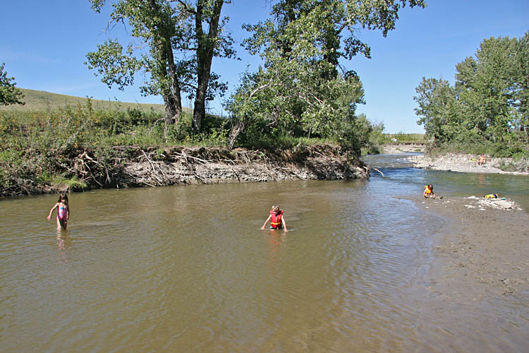 The creek is calm these days...