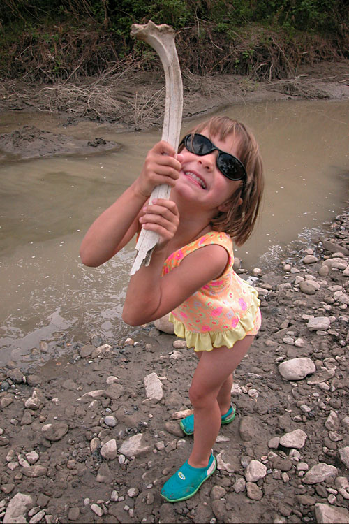 ...a very old dinosaur bone.