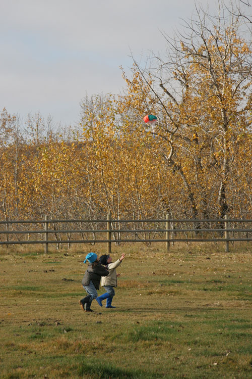 coming in for landing...