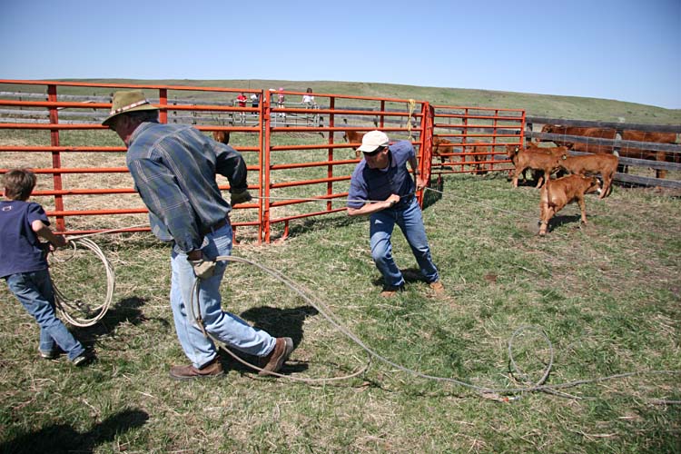 a little unorthodox perhaps...