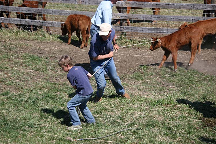 they're tough little hombre's...