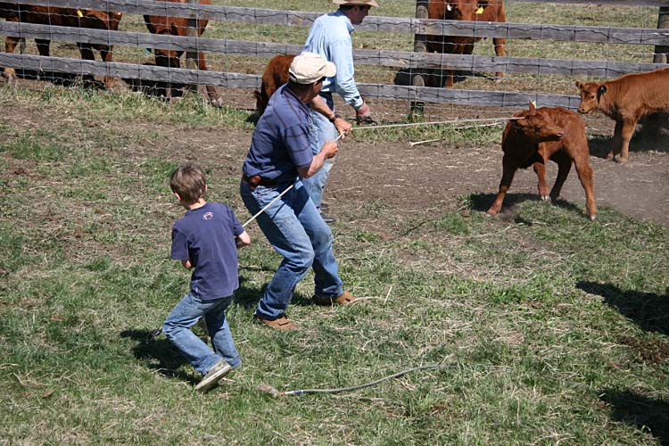 that don't go willingly...