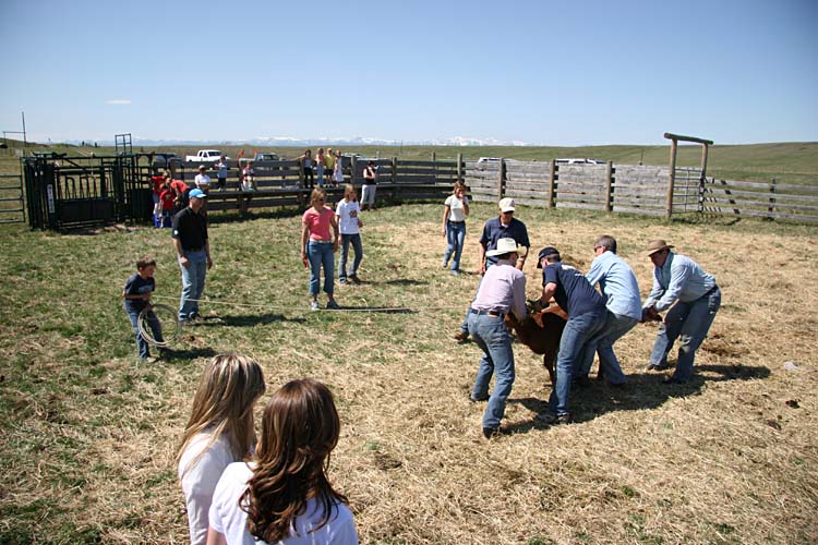 It'll be over quick...