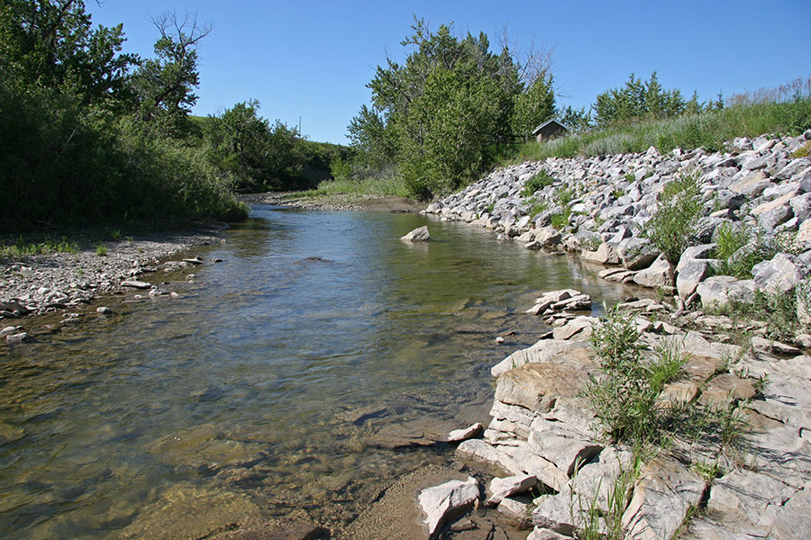 Pekisko Creek in summer...