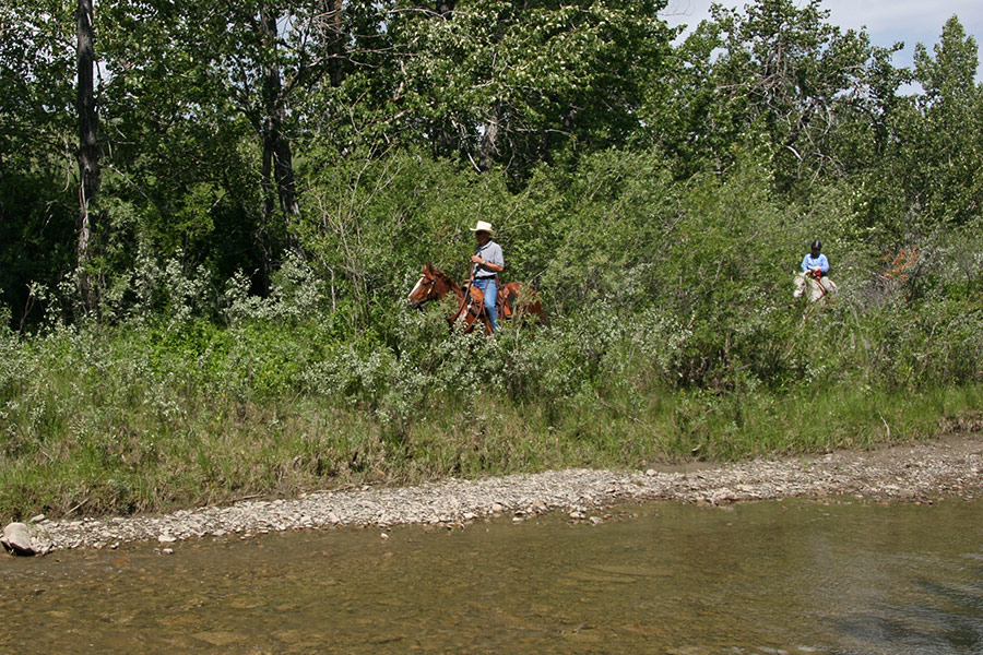 Brent and Shirley...