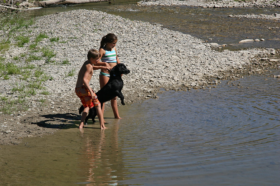 Daisy sees something...