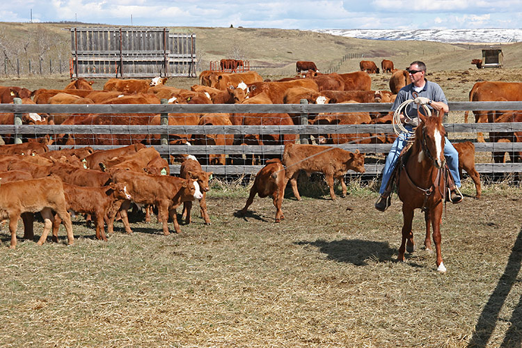 Brent snags another one...