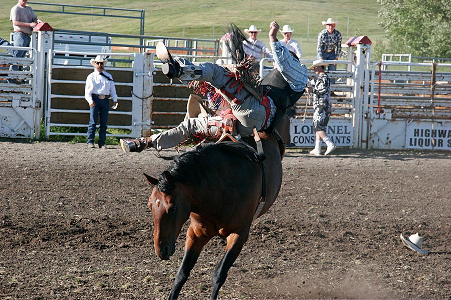 bronc buckin'...