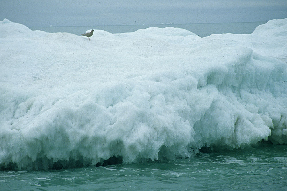 ice berg close to the ship...