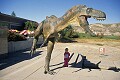 on our way home, we stopped at the<br />Tyrrell museum in Drumheller...