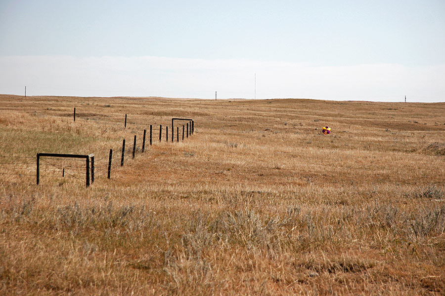 luckily the chute inflated on the ground, <br />making it easier to find...