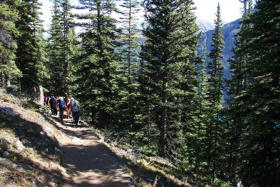 Trail to the Larch Valley, Moraine Lake