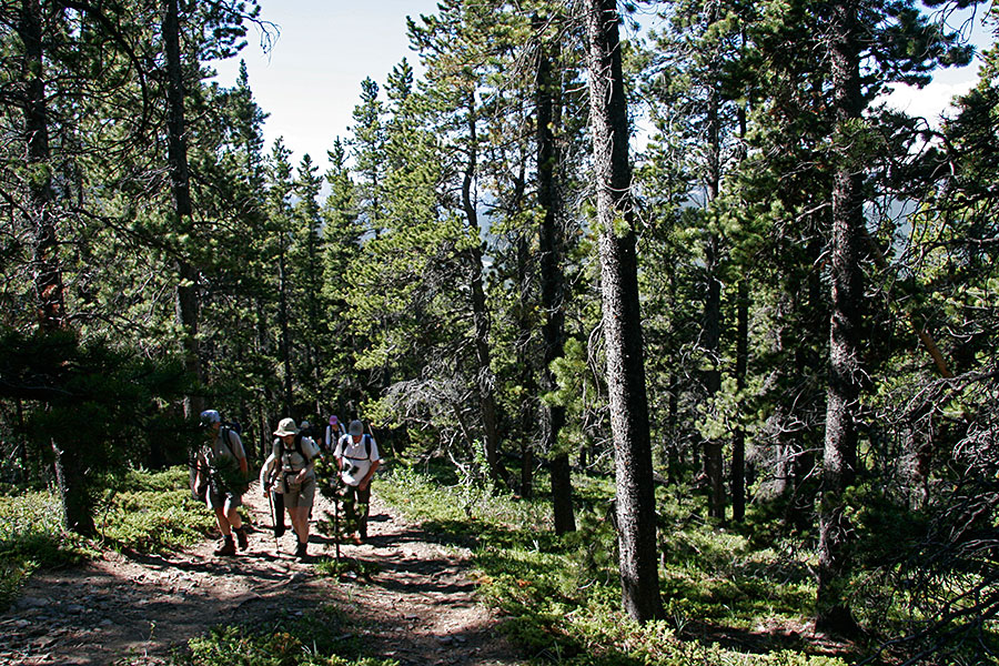 Start of the Powderface trail...