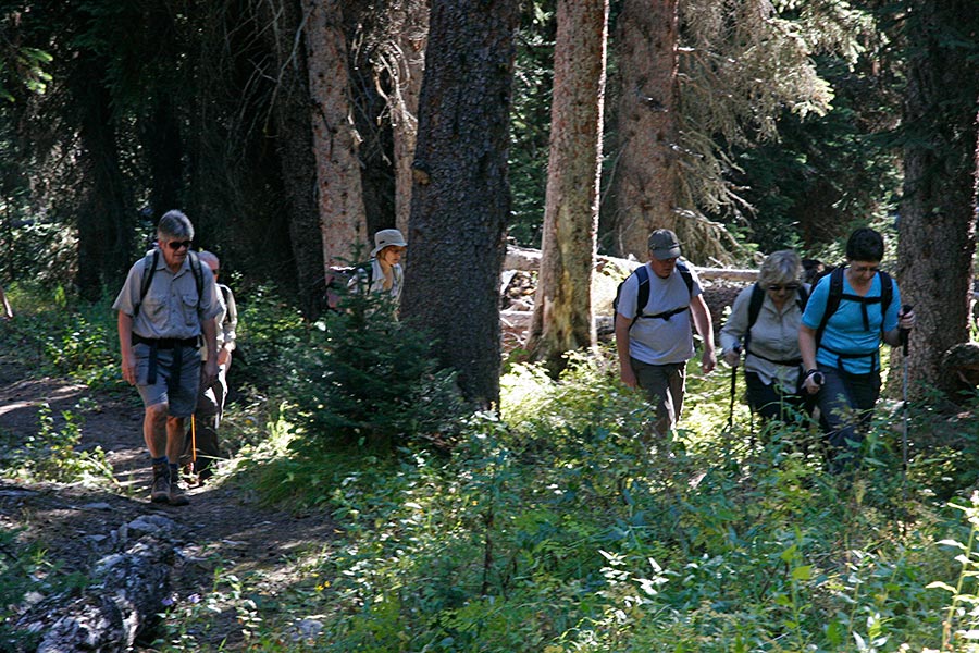 Trail to Taylor Lake...