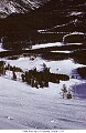 View from top of Norquay, Winter 1954