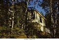 Muskoka, Summer 1954