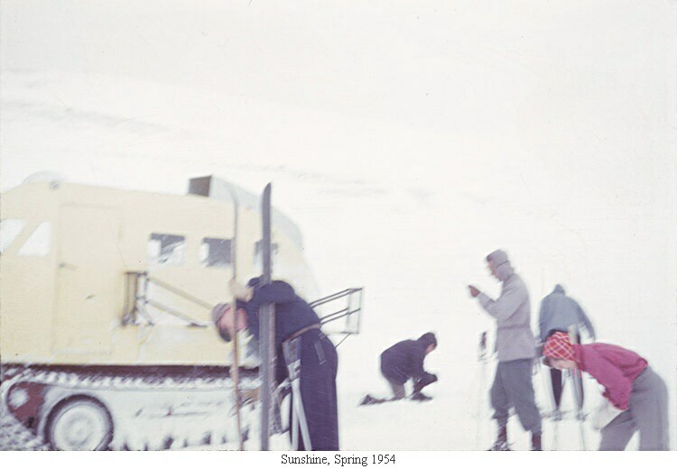 Sunshine, Spring 1954