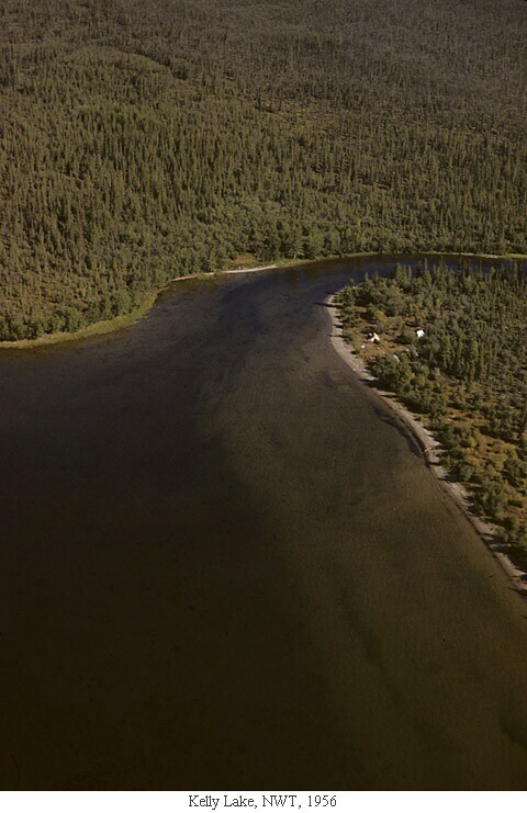 Kelly Lake, NWT, 1956