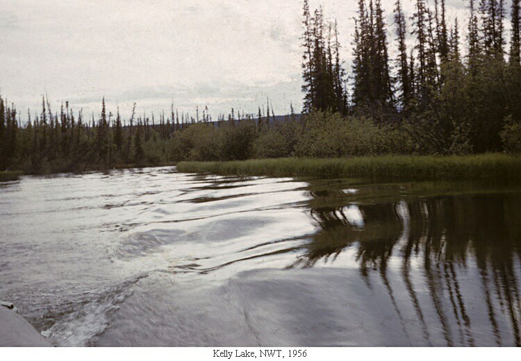 Kelly Lake, NWT, 1956