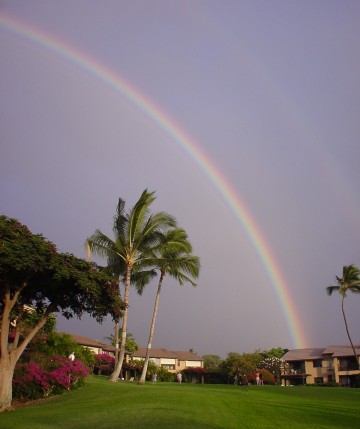 Rainbow