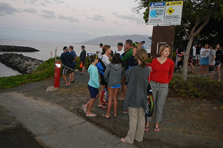 Another early morning found us at the Kihei boat dock...