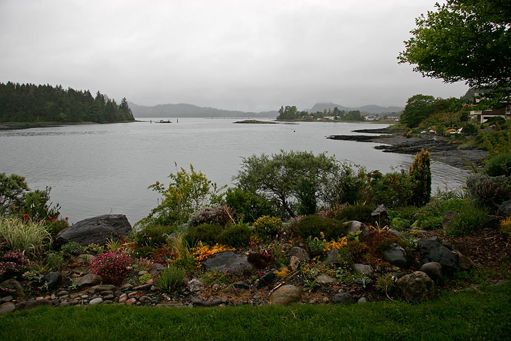 Early morning, high tide...