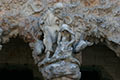 nativity