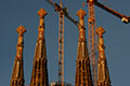 towers